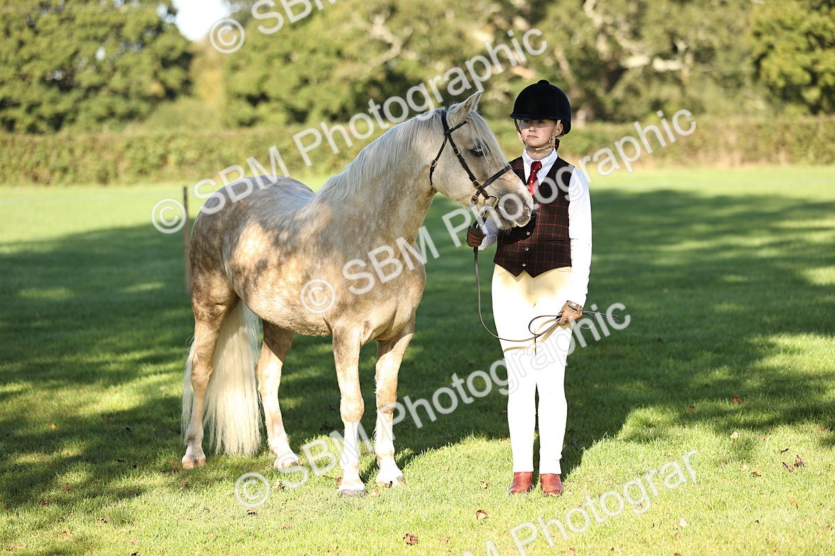 SBM_15818 - S1 - TSR in Hand Horse & Pony Showing