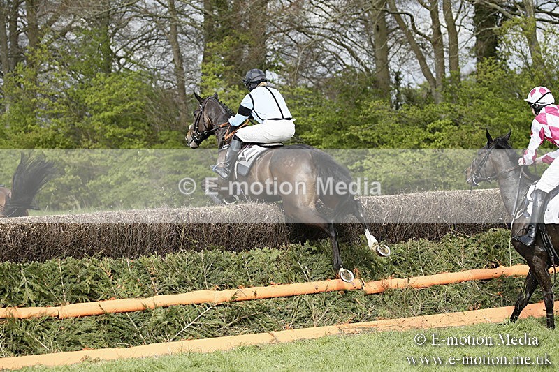 PtP 170417 308 - Old Berks Point-to-Point Lockinge 17/04/17