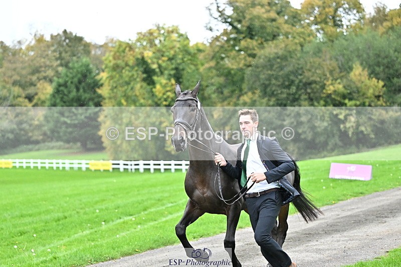 251022A-160259-00655 - A-004-Max.Warburton