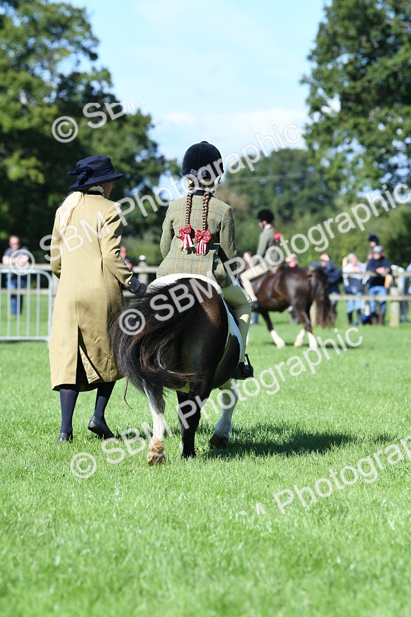 SBM_39626 - S18 - Novice & Newcomers Lead Rein Pony