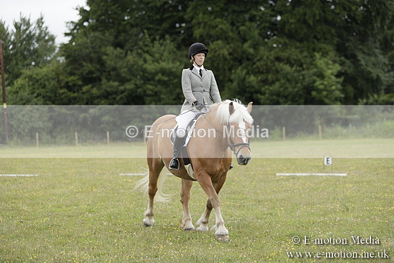 BVR160717-679 - Class 1 & 23a Dressage 16/07/17