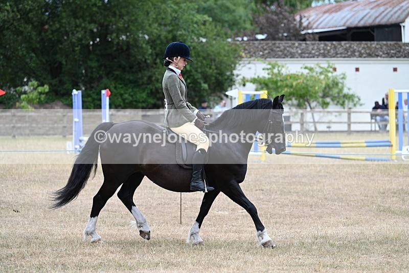 WJ7_0484 - Class 6 Ridden Mountain and Moorland