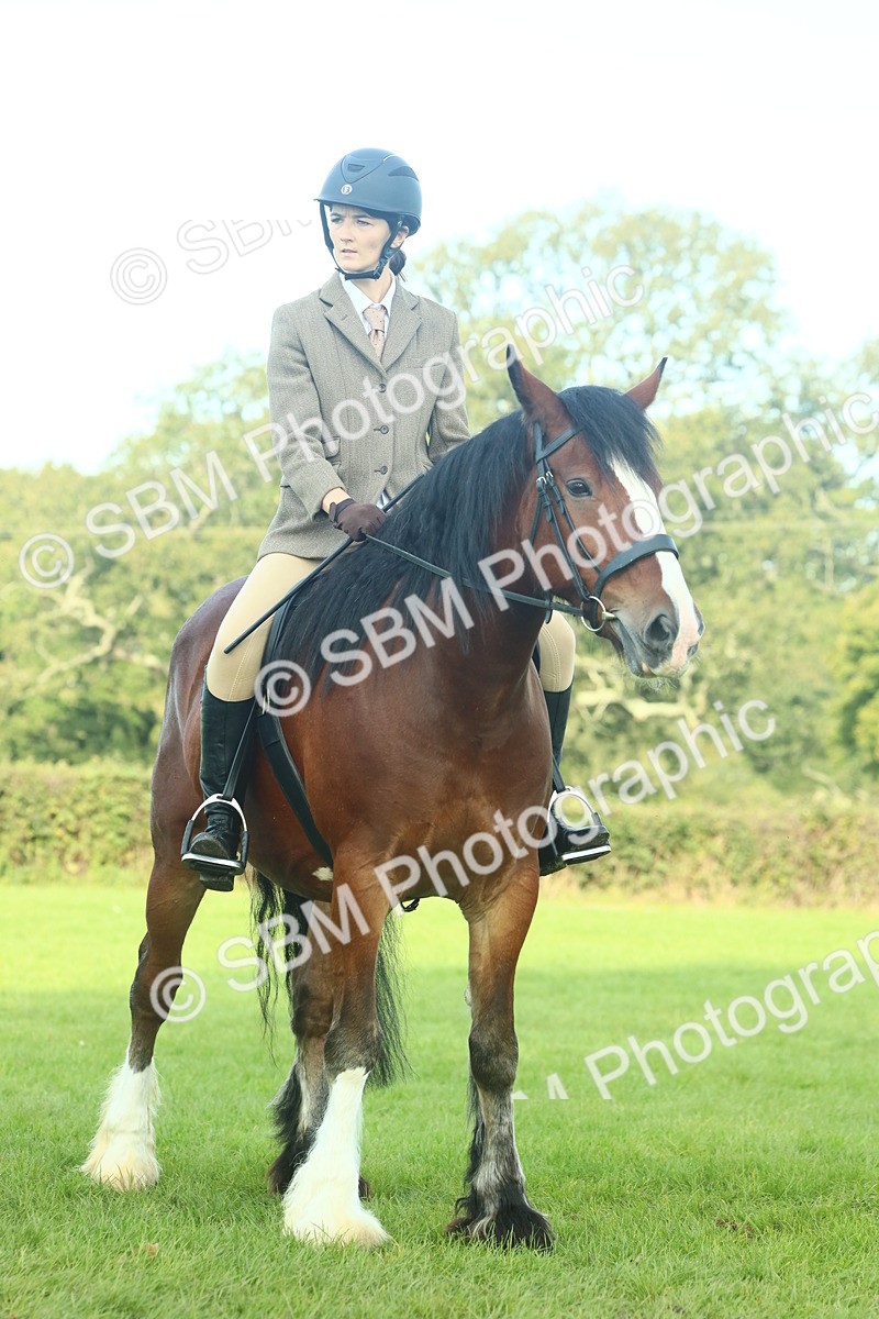 SBM_59852 - S38 - Starters Ridden Showing
