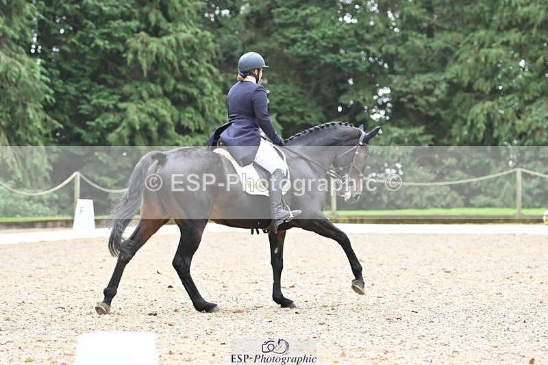 231019-130805-03305 - 121-KNOCKADERRY.MISTY.BAT-Harriet.Dickin-DR