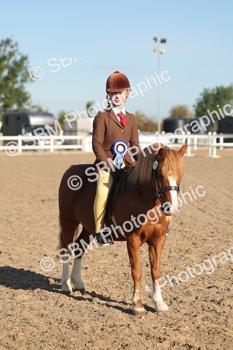 SBM_10936 - Class 301 - Ridden M&M Small Breeds