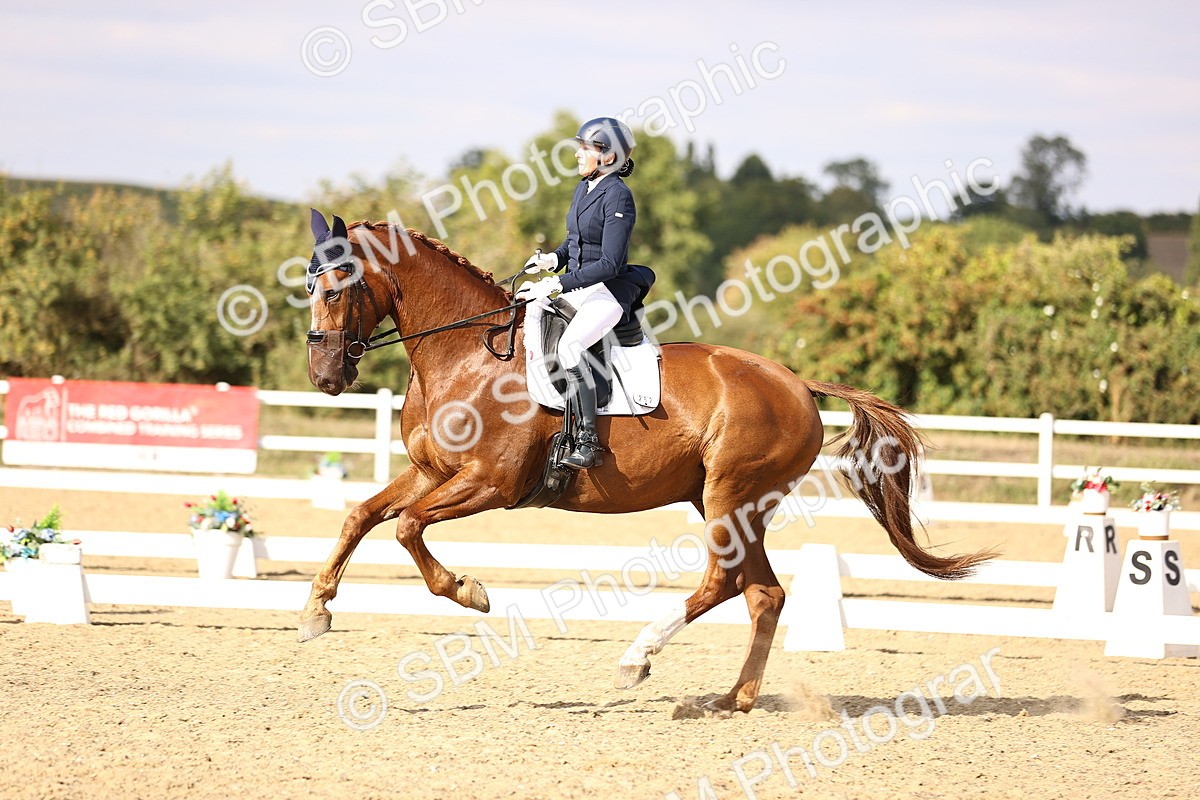 SBM_015512 - Class 11 - FEI PSG