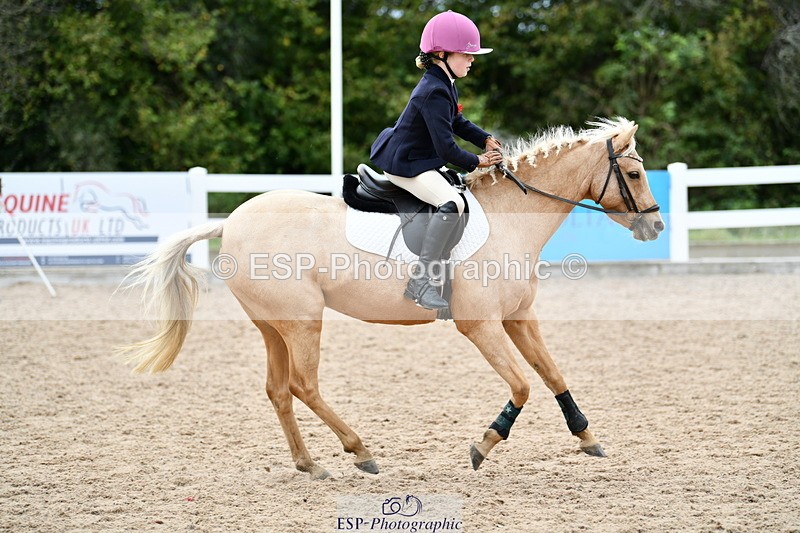 241013B-141031-01526 - Cls 4 60cm