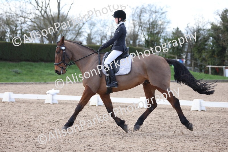 20260228-0801 - Class 6 - Novice 3