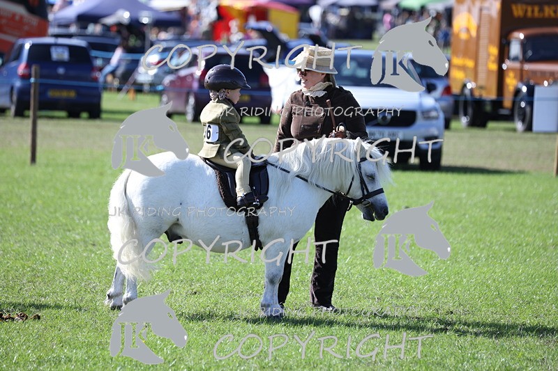 APP_3832 - Class 13 Lead rein