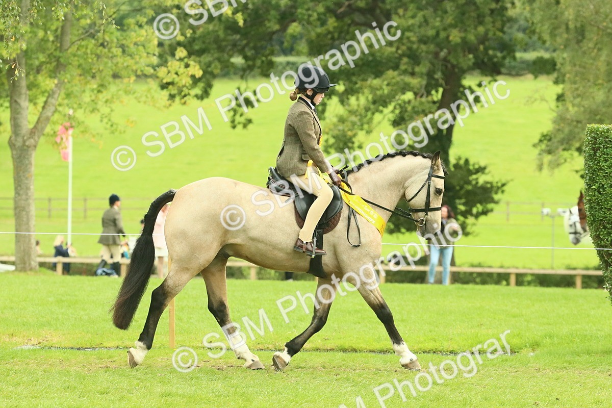 SBM_74996 - Ridden Pony Supreme Championship