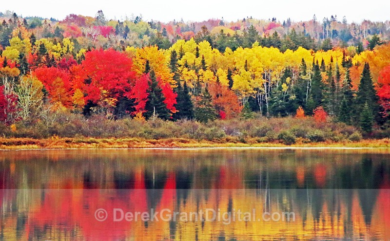 Kingston Lake - Autumn New Brunswick Canada Fall Foliage - Autumn Foliage