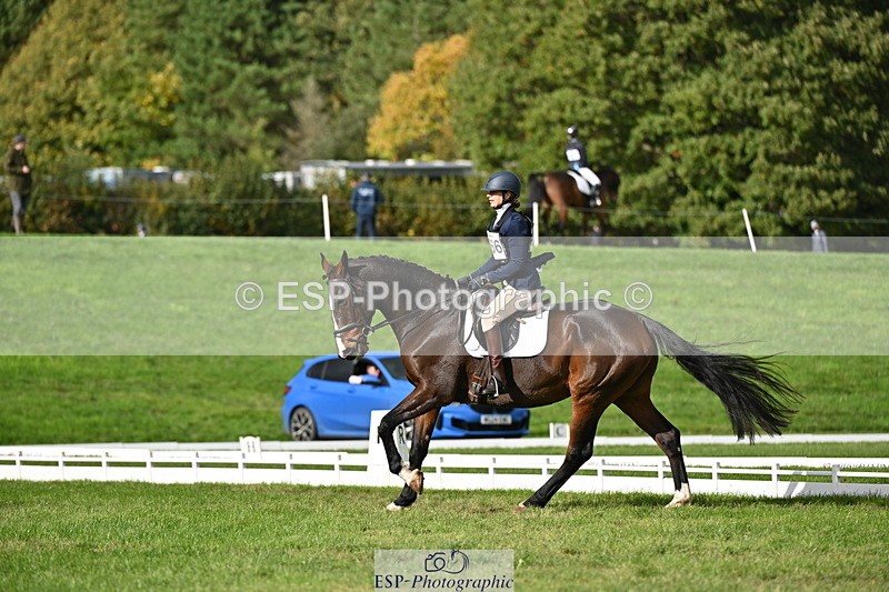 251024A-135144-12267 - D-366-Blythe.Jopling