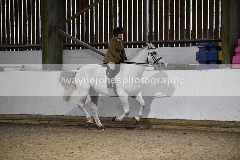 WJ5_8829 - Class 15 Ridden Show Horse