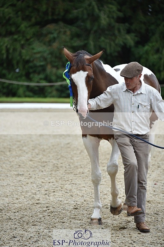 230812-144724-04853 - Novice Silver Presentations