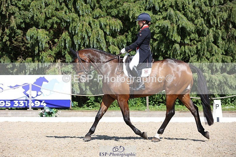 230526-160340-07745 - 168-PARKFIELD_ARTIE_BLOU-Laura_Collett-WEDTrotUp+DR