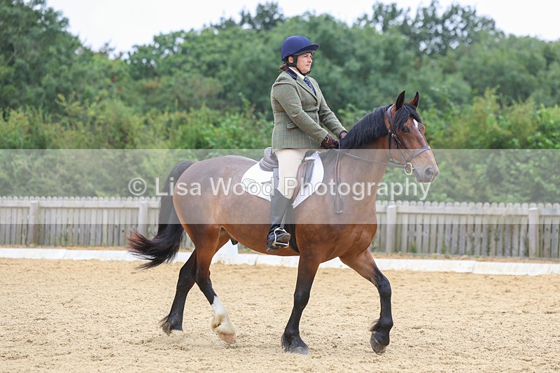 3E7A5181 - Class 2: Intro 4 2024 section B