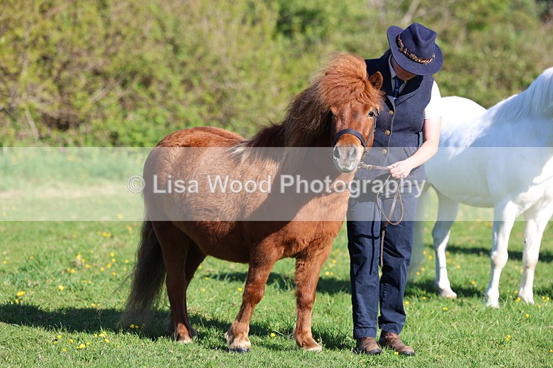 3E7A8395 - Class 12: M & M Small Breeds