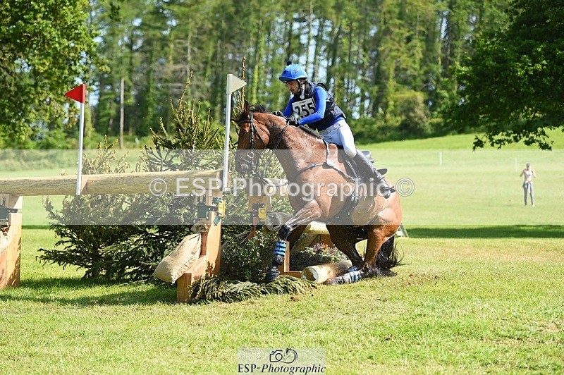 230527-102546-08555 - 255-HI_MR_HENRY-Henry_Hobby-XC