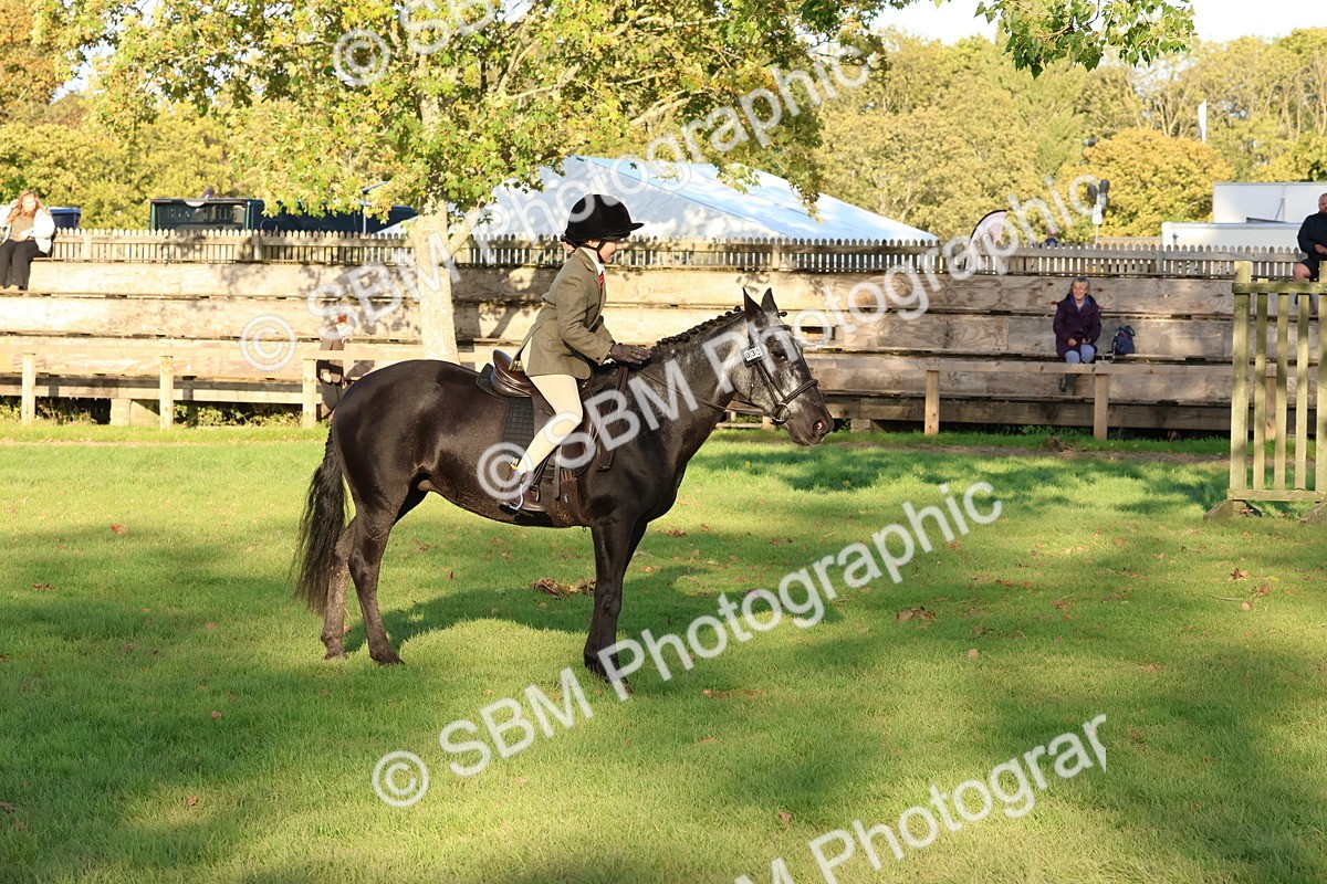 SBM_53078 - S29 - Mature Veteran Ridden