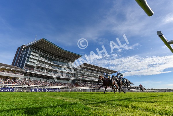 111025-Race 3-Laazm-1998 - Race 3 Coral 'Daily Reward Shaker' For Free Nursery Handicap at York