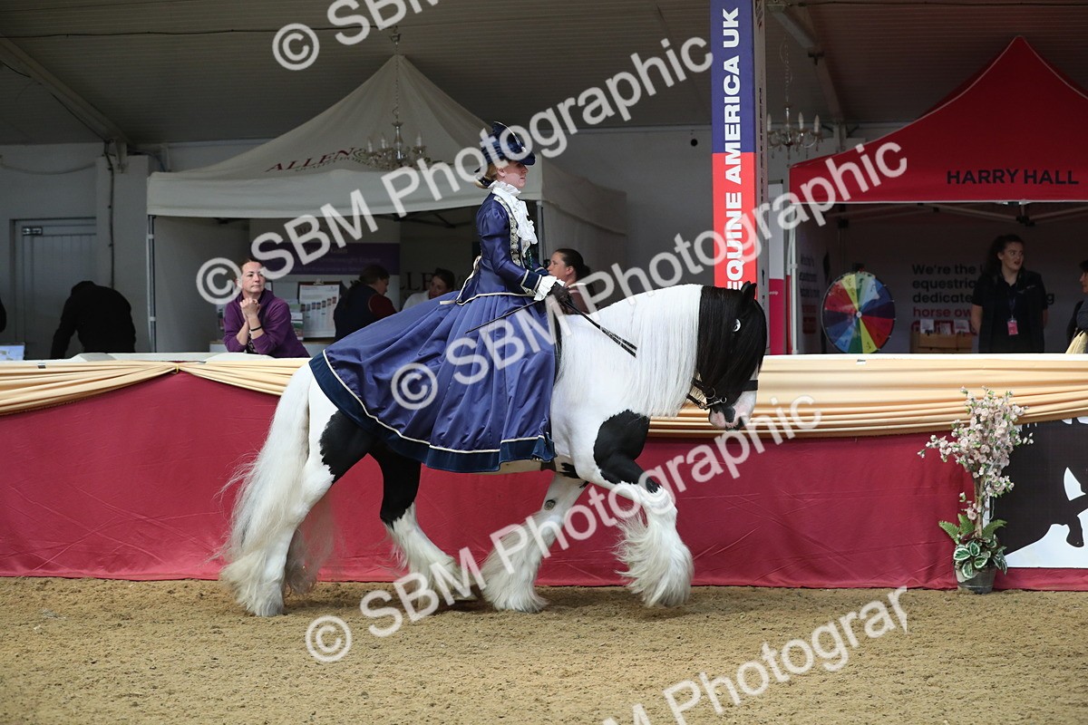 SBM_12093 - Class 106 Ridden Costume- Astride Adult (15-19)