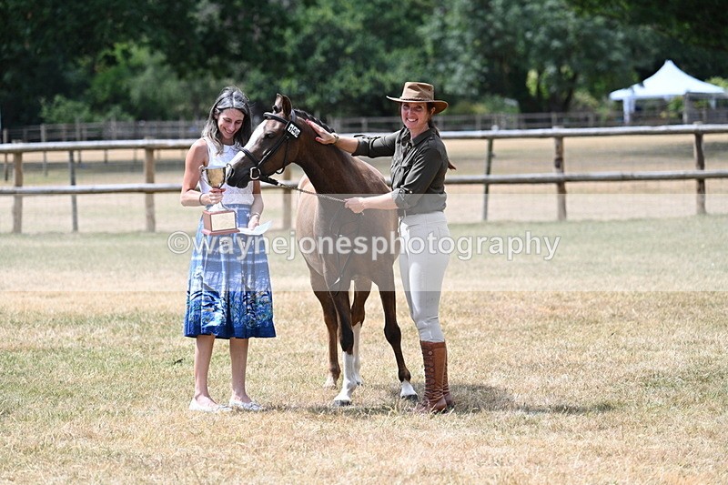 WJ7_2101 - Prettiest Mare Champs