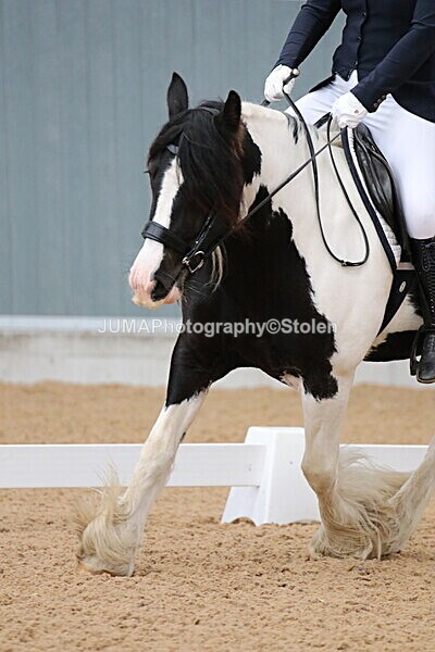 SIAL7035 - GDG Bogenraith Friday 26th Sept 2025