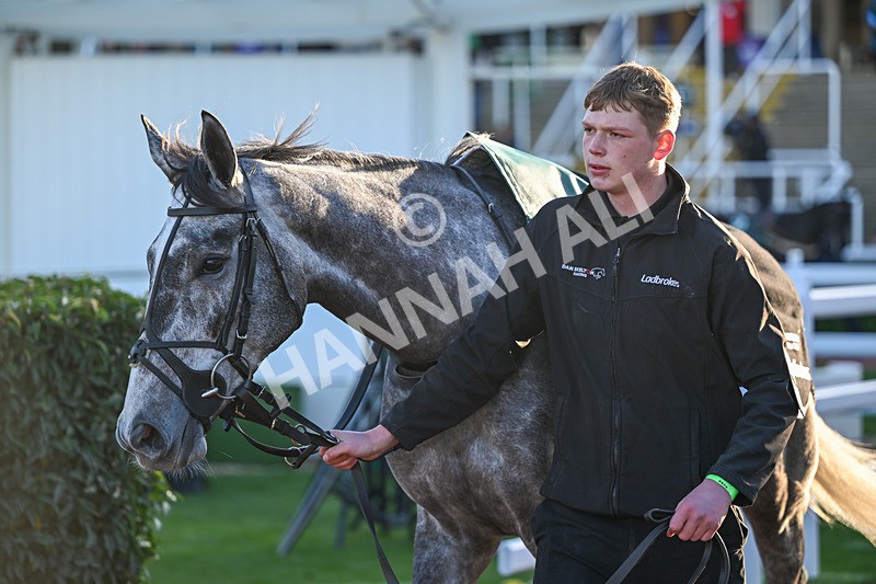 251025-Race 7-Le Beau Madrik-0115 - Race 7