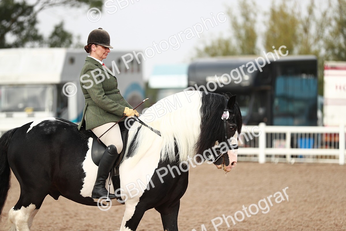 SBM_09409 - Class 202 Best Turned Out Ridden