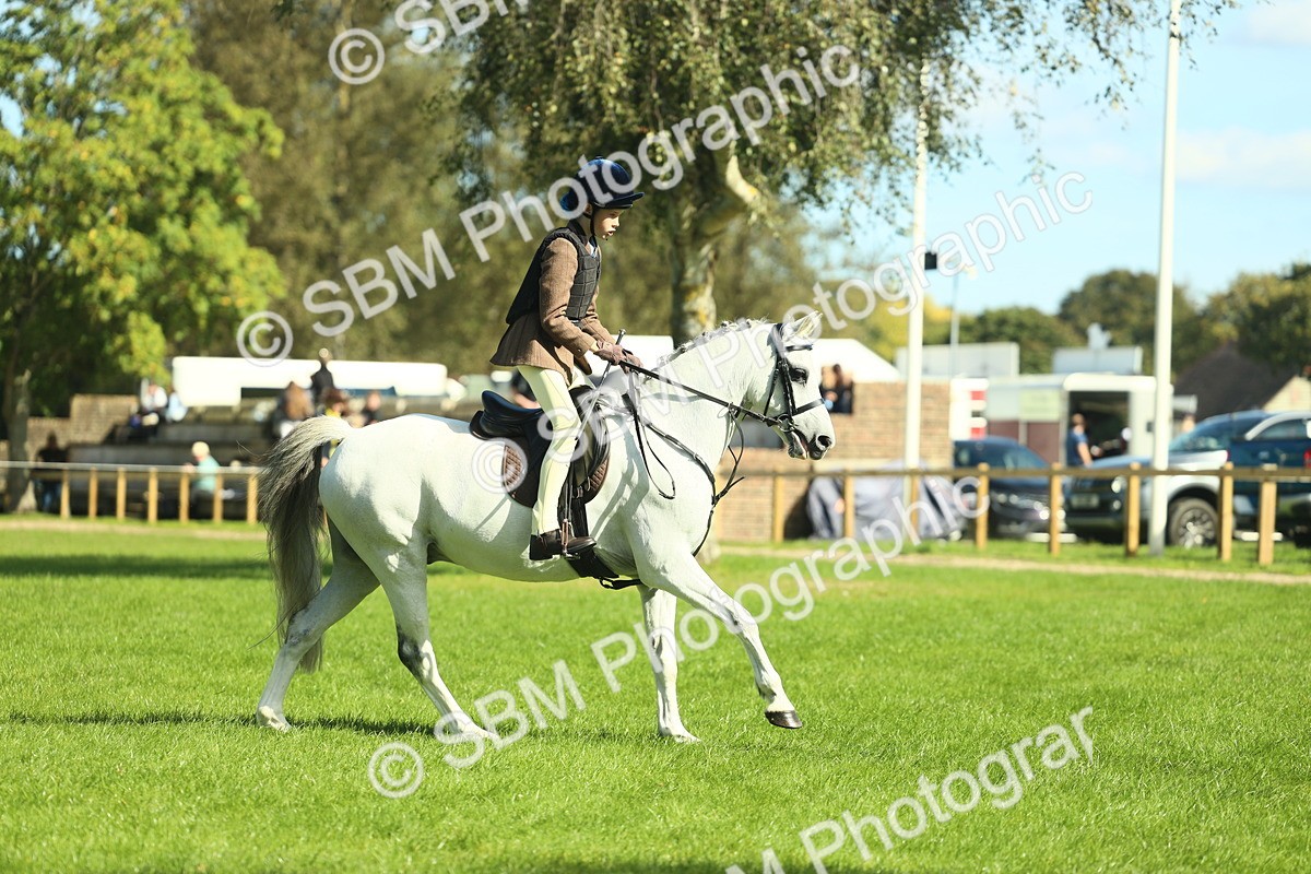SBM_39196 - S29 - Novice & Newcomers Working Hunter Pony