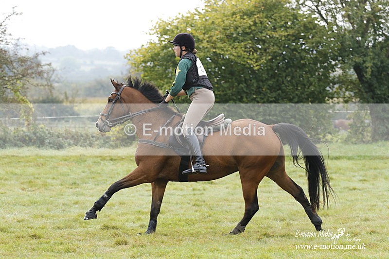  WWHT 171021 0794 - Open Novice (0.80m)  17/10/21