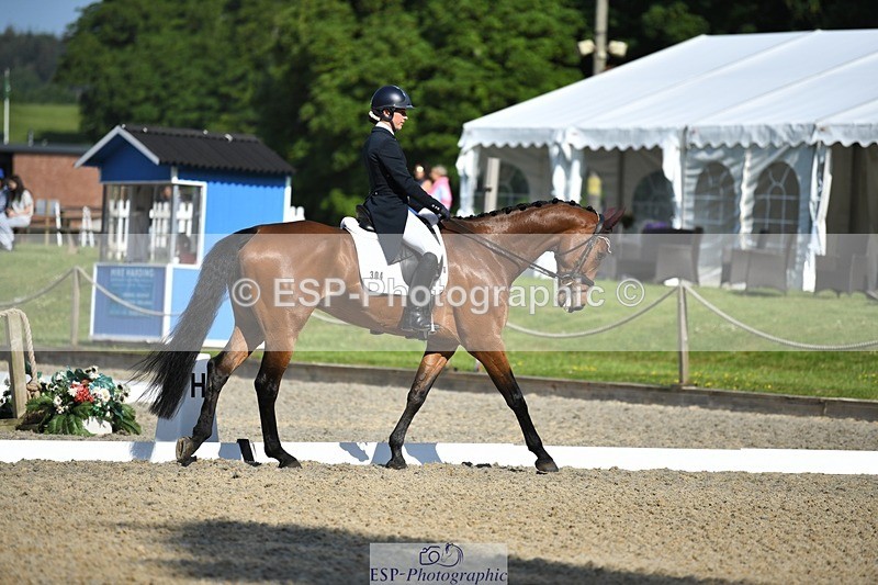 230525-092011-01576 - 304-MADFORD_LAW-Anna_Johannson-WEDTrotUp+DR