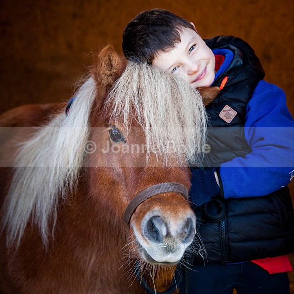 IMG_0159 - Equine Gallery Portfolio