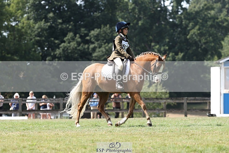 250823A-135610-31403 - Arena D