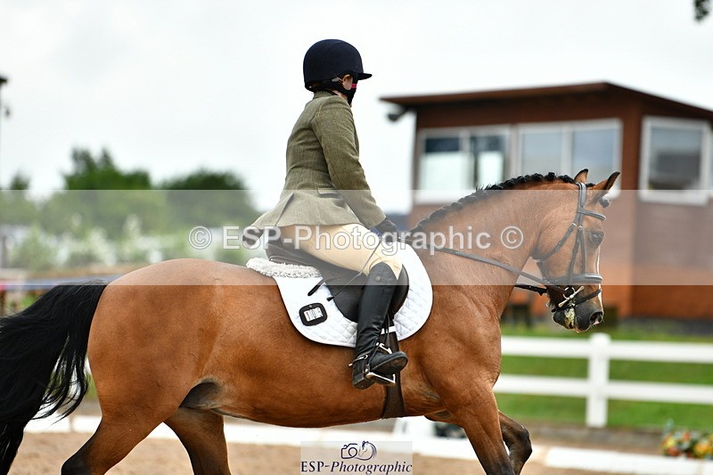 230630A-161911-03469 - Cls 9 Quest Novice 28