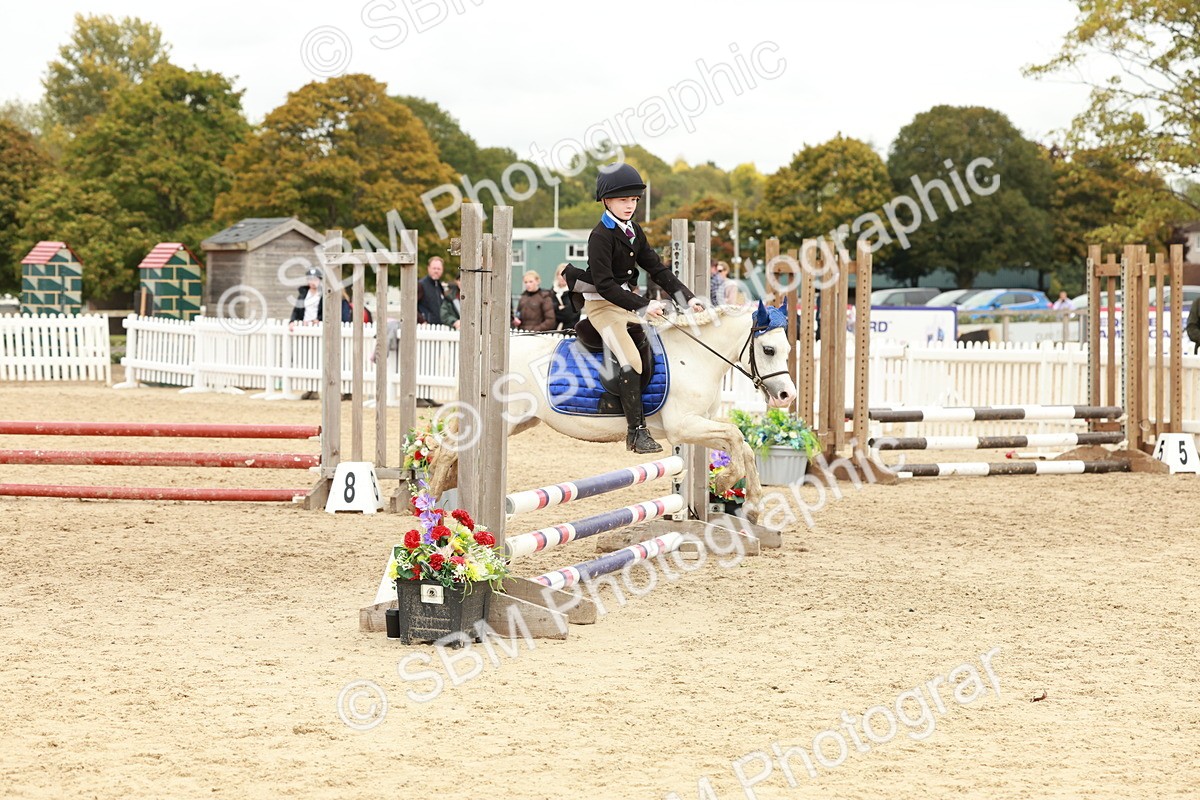SBM_65247 - Supreme Championship 50cm & 55cm