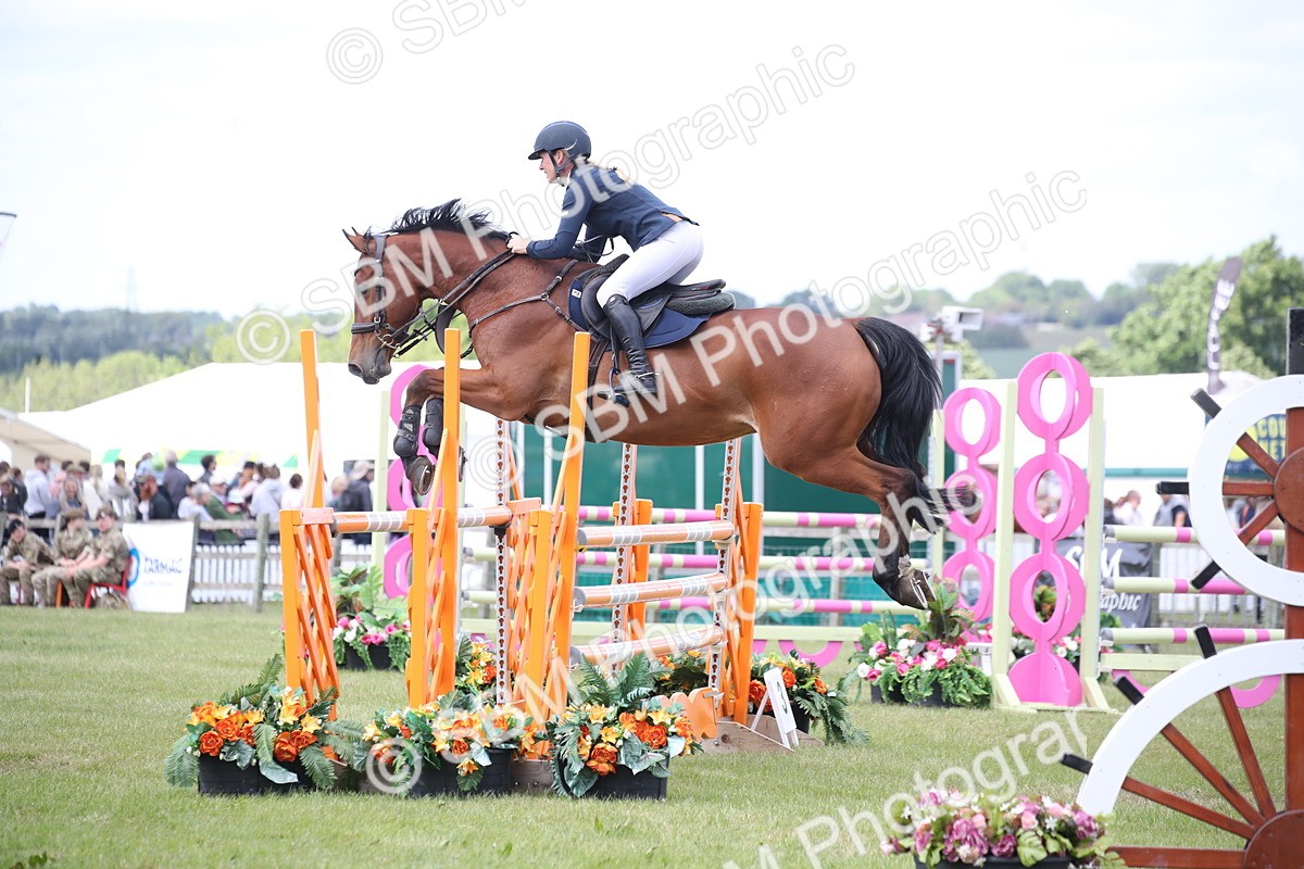 SBM_17448 - Class 208 - Senior Foxhunter 1.20m Open