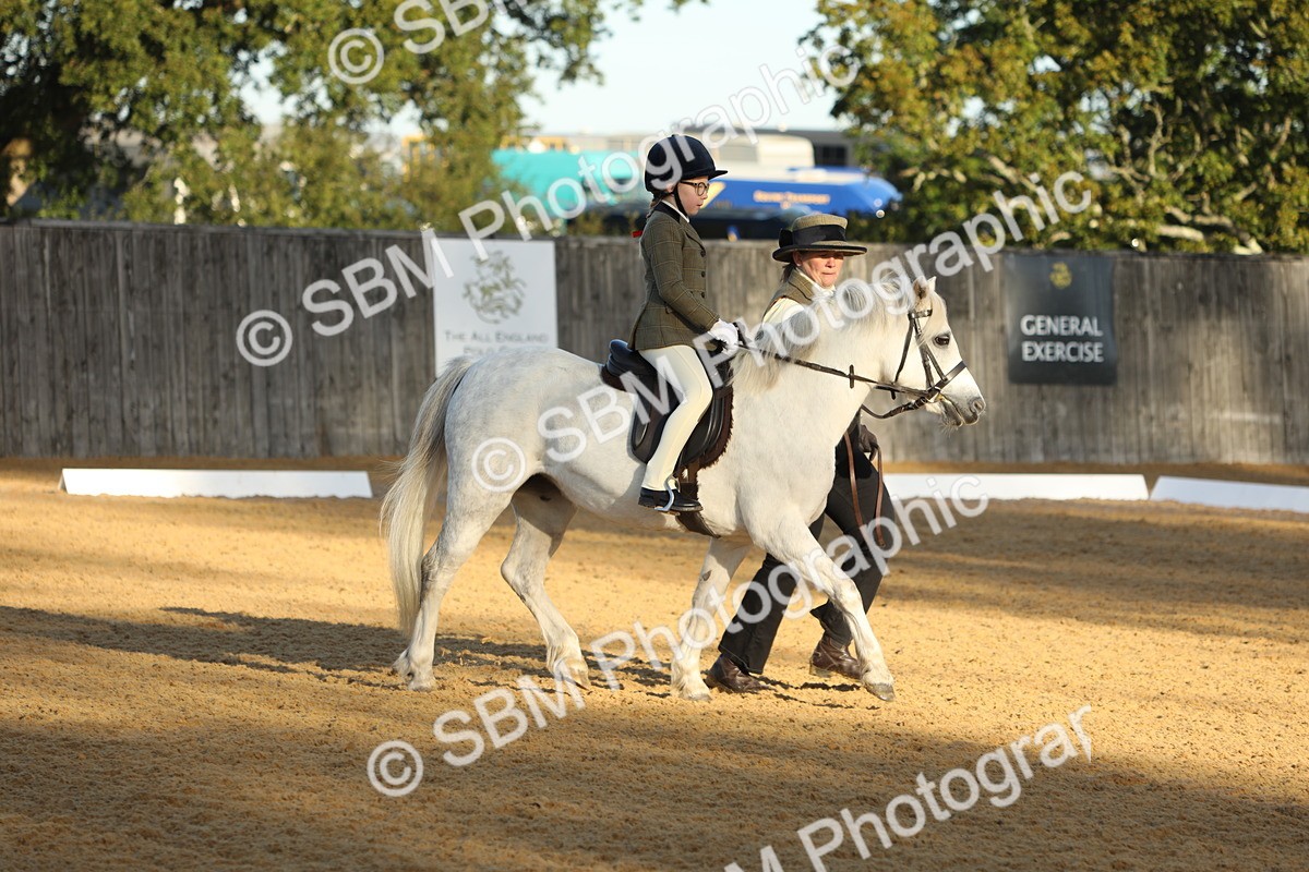 SBM_33594 - D26 - Starers - Lead Rein