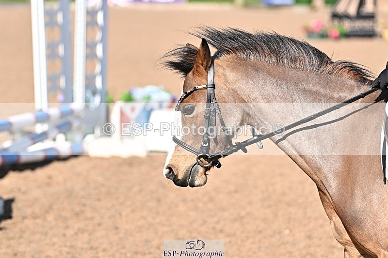 250401-160414-00018 - Clear round