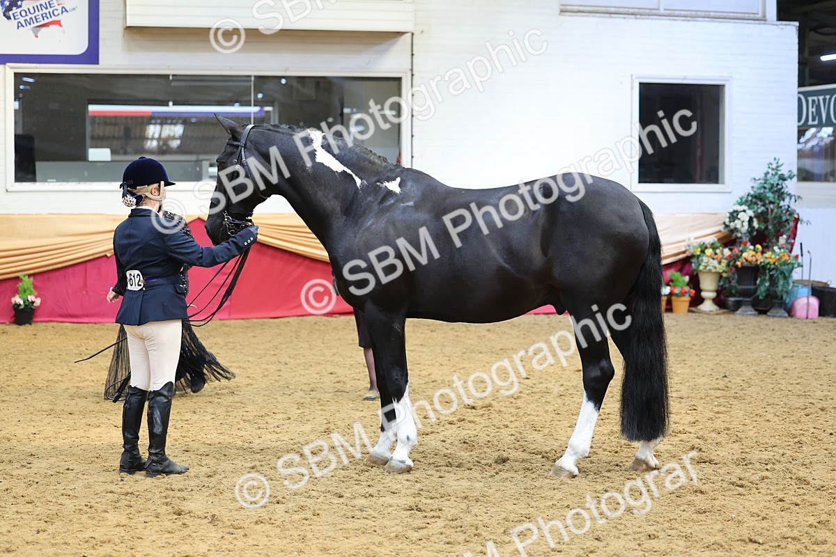 SBM_22733 - Class 903 - Supreme Final - IH Pre Vet