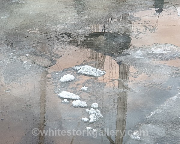  - NEW Winter Reflection
