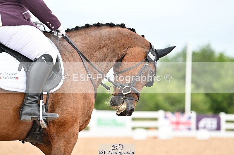 240623A-112652-17487 - Cls 48 BD Novice 37A