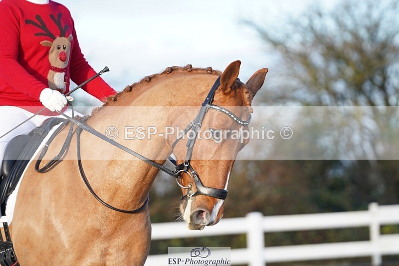 241214-102828-00176 - 108-Pippa.Knight-KFS.Boston.Burglar