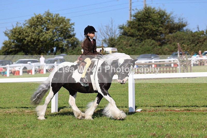 IMG_1472 - Class 30: Ridden Native/Trad Coloured Pony