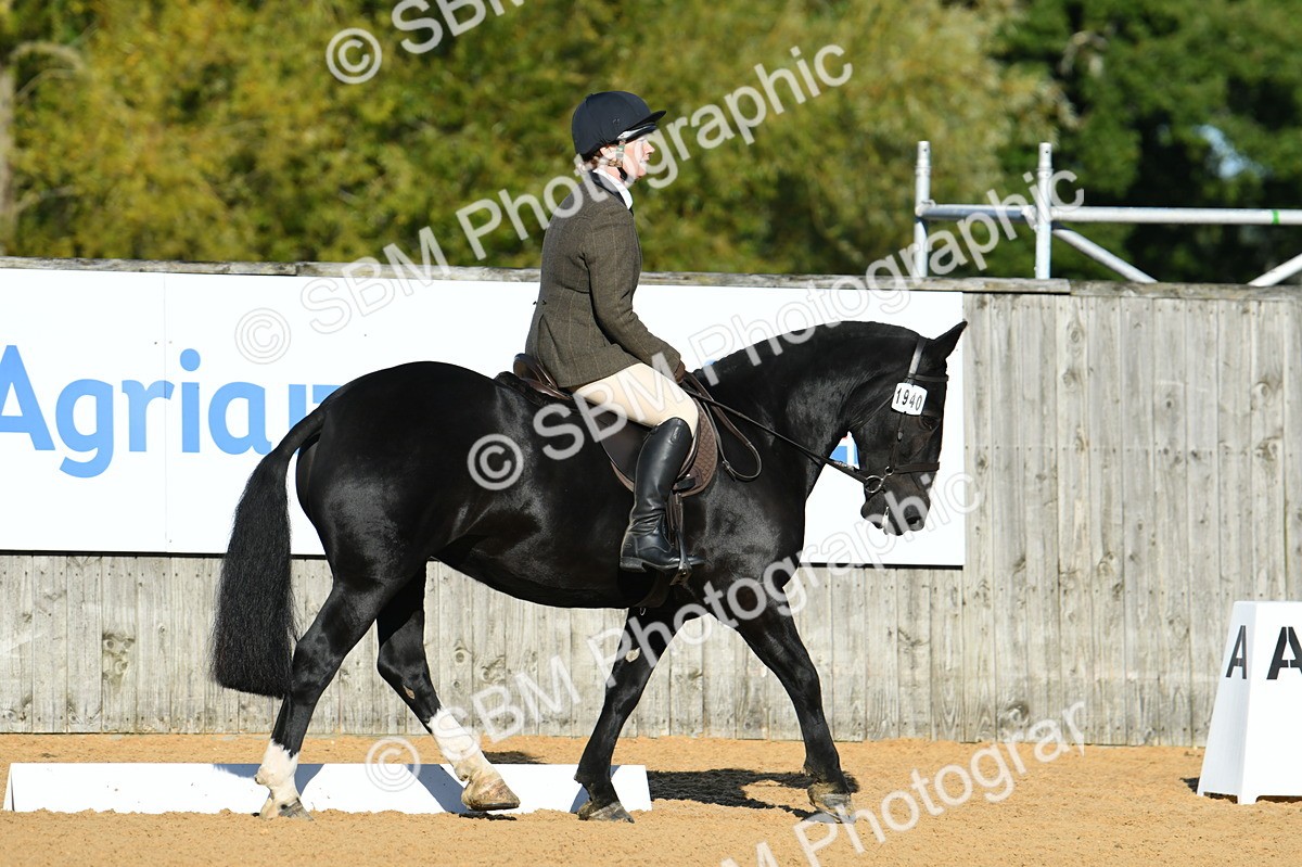 SBM_16075 - D4 - Small Tour Championship - Intro B
