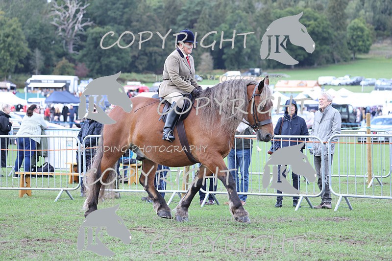 APP_3630 - Class 8 Ridden Class