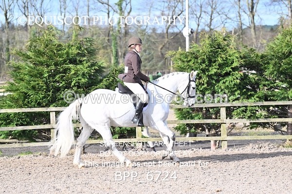 BPP_6724 - RING 1  (RIDDEN HORSES / IN HAND / VETERAN ETC)