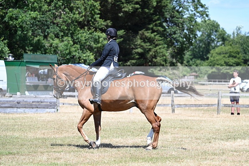 WJ7_2908 - Class 7 Riding Club Show Horse