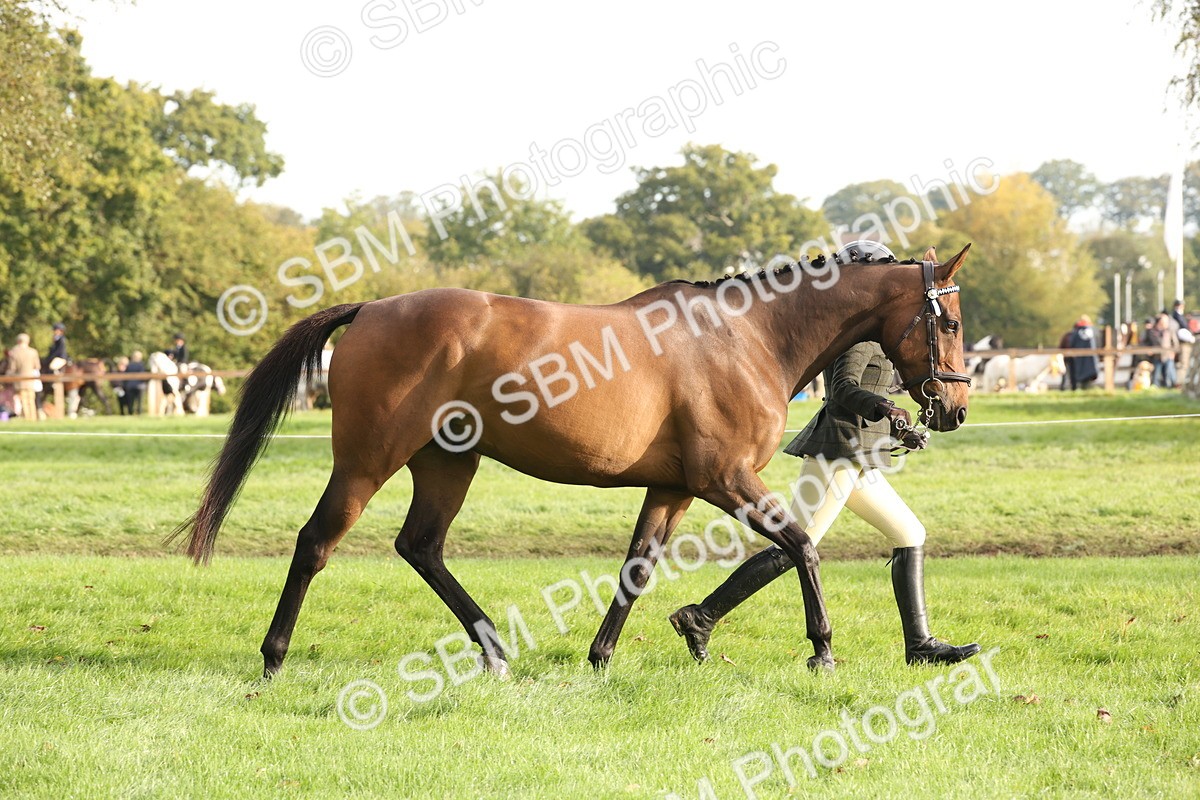 SBM_54678 - S53 - Hunter In Hand
