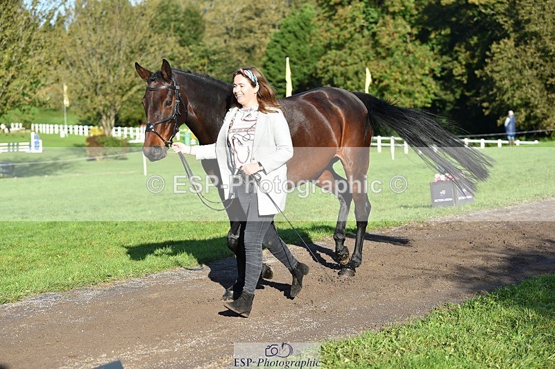 231022-101130-22296 - 503-JAGUAR.MAID-Isobel.Lole-TrotUp+SJ